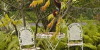 Plante Info : le blog du jardinage